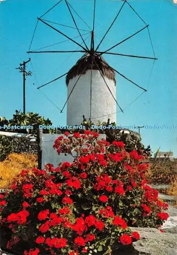 D084172 43783. Mykonos. Windmühlen in Mykonos. Rotalfoto. Griechenland
