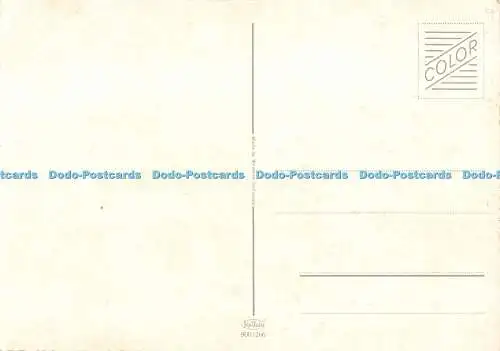 D084309 Pferd. Krüger