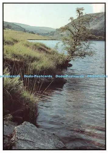 D084356 40. Tuag bei Graig Goch. Cwm Elan in Richtung Craig Goch. Elan Valley. Liz Fl