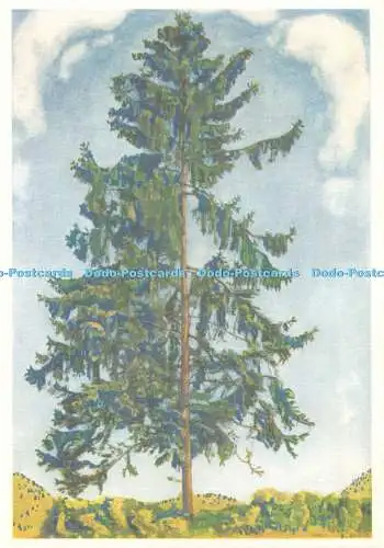 D084521 Pro Infirmis. Die Tanne. Le sapin. Labete. 1905. 1853 1918. Ferd. Hodler