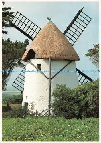 D086506 44. Windmühle. Co. Wexford. Peter O Toole. Hinde. Ireland People and Plac