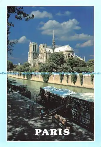 D086643 Paris. La Cathedrale Notre Dame. Siesta Karten. Dessin Graphique. Max Les