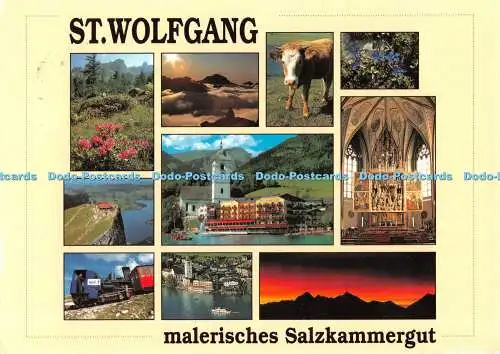 D088680 St. Wolfgang. Malerisches Salzkammergut. Perle des Salzkammergutes. Luft