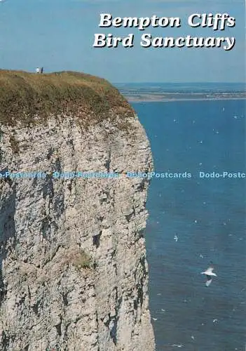 D086968 Bempton Cliffs. Vogelschutzgebiet. East Yorkshire. Ken Paver. Dennis