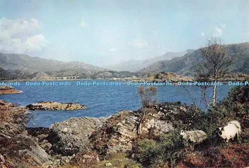 D087075 Loch Nan Uamh. Loch der Höhlen. J. Arthur Dixon. John R. Edwards