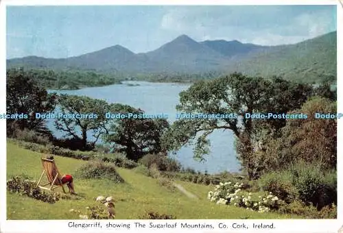 D088959 Irland. Co. Kork. Glengarriff zeigt das Zuckerhutgebirge. Cardall.