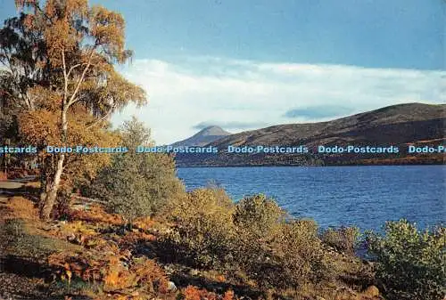 D089047 Perthshire. Loch Rannoch. J. Arthur Dixon