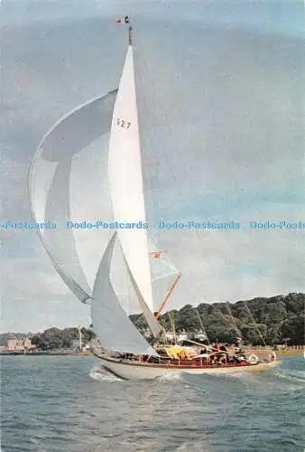 D087386 Janabel. Die französische 60-Fuß-Schaluppenangeln bei einem Rennen um die Isle of Wight