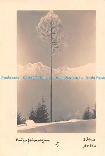 D087393 Innsbruck. Winter. Schneebedeckter Berg. Ein Baum. Dr. A. Defner. L. und H. RP