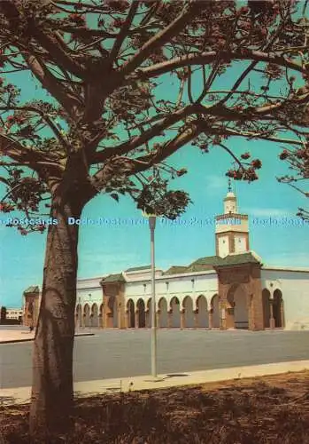 D085584 Rabat. Königspalastmoschee. Diffikot. s.a.r.l