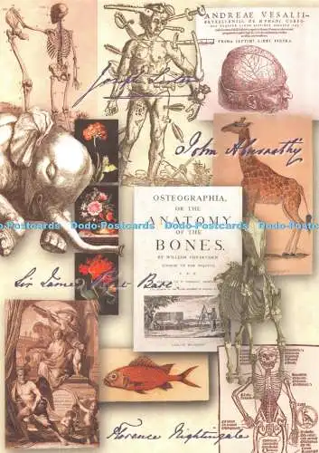 D085627 The Royal College of Surgeons of England. Osteographie oder die Anatomie der