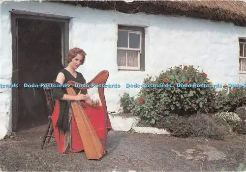 D090807 615. Irish Harpist. Connemara. Co. Galway. Cardall. Irish Country Life