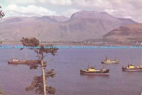 D087663 Ben Nevis. Großbritannien höchster Berg von Camusnagaul gegenüber Fort Willi