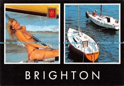 D091317 Brighton. Fisa. Golden Shield. Multi View