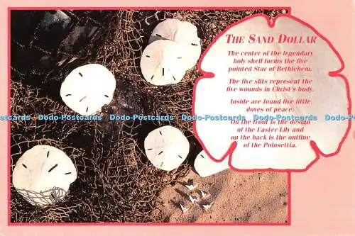 D092785 Sand Dollar. Rindy Nyberg. Southern Card und Neuheit