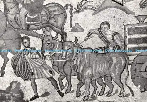 D092861 Piazza Armerina. Villa Romana. Zebu at cars yoke von Great Hunt. Soprin