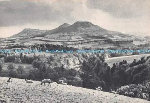 D092869 Eildons und Tweed von Bemersyde Hill. Sir Walter Scotts Favorit Scott