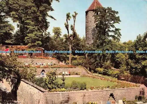 D091451 694. Weinheim an der Bergstraße. Ruhe und Lesegarten im Schlosspark. Ja