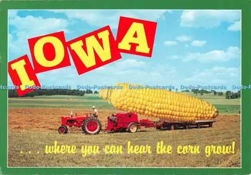 D092939 Iowa. Wo man den Mais wachsen hören kann. Groß und kitschig. Dunlap Postkarte.