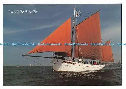 D090312 La Belle Etoile. D Art Jos Le Doare