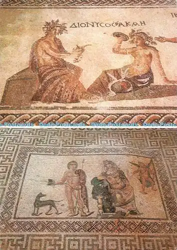 D091679 Zypern. Paphos. das berühmte antike Mosaik. Multi View