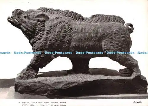 D093330 Sparta Museum. Wildschwein der Römerzeit. Minosa