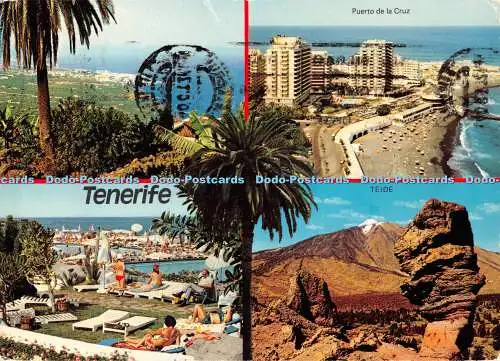 D093402 Teneriffa. Teide. Puerto de la Cruz. W. Segschneider. H. W. Hintz. Multi