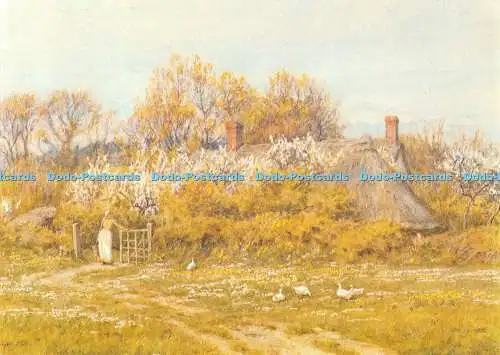 D092126 Cottage Life. Galerie 5. Serie. 08. 09. Helen Allingham