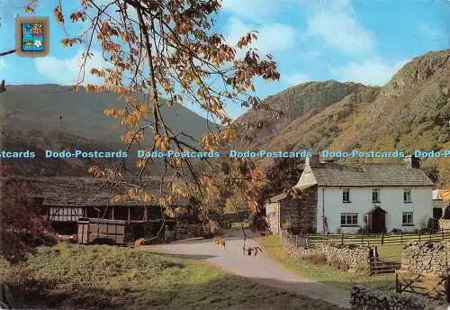 D095835 Eibenfarm. Coniston. Golden Shield. Sanderson und Dixon. 2002