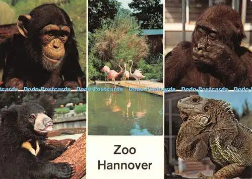 D094142 Zoo Hannover. Zoologischer Garten Hannover. Kipp Sprungli. V18. Vontobel