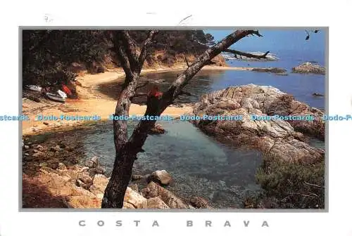 D096243 Costa Brava. Cala Estreta. Dreiecksposten. Ricard Pla. 1997