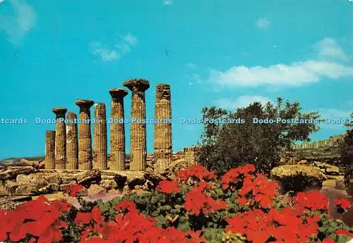 D096613 Agrigent. Ercole Tempel. P. Cacciatore. Ingrosso Souvenir. Fotocelere