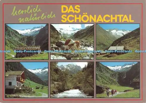 D098585 Das Schonachtal. Franz Milz. Multi View