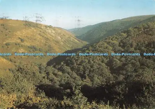 D096978 Devon. Single-Schlucht des Flusses Teign. Richter. 1987