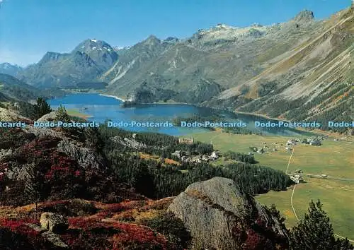 D100338 219. Sils im Engadin. Agfacolor. Foto Max