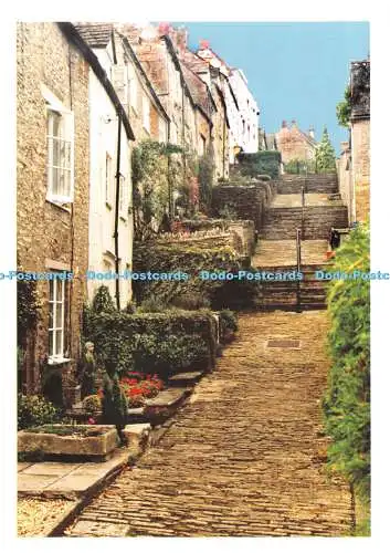 D099027 Gloucestershire. Die Absplitterungsstufen. Tetbury. Kay Adkins