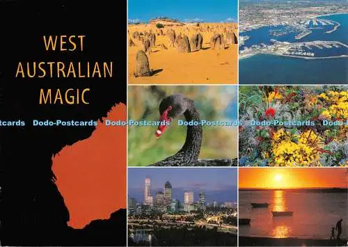 D100445 West Australian Magic. Werner Bartel. Artique Designs. Multi View