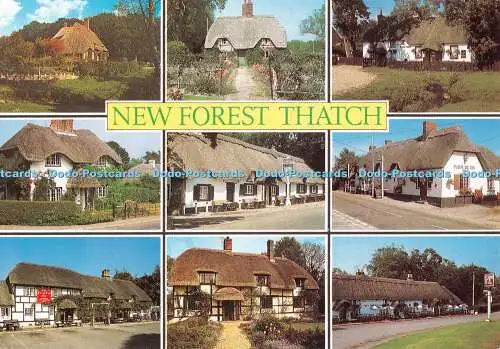 D100586 New Forest Thatch. J. Salmon. Kamerafarbe. Multi View