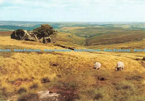 D097439 Wuthering Heights. Haworth Moor. Yorkshire. Walter Scott. Farbserie.