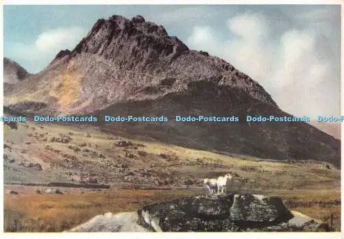 D097500 Tryfan. Capel Curig. C13. Richter