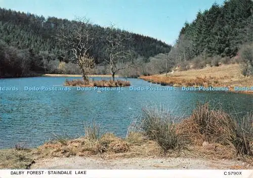 D102581 Dalby Forest. Staindale Lake. C5790X. Richter. Forstkommission