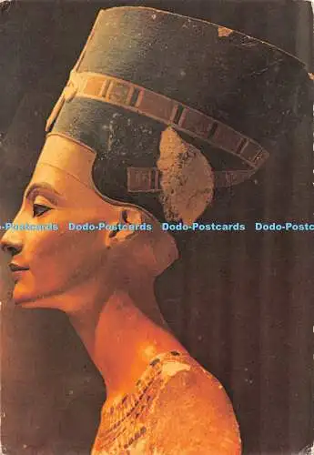 D099503 Bedruckte Büste aus Kalkstein der Königin Nofretete. Ägypten