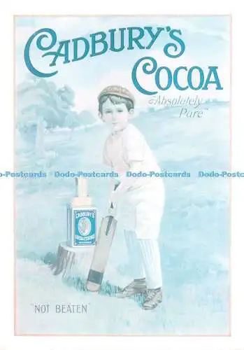 D099539 Cadburys Kakao. Absolut rein. nicht geschlagen. Murmelt Eisenbahn. Cadbury
