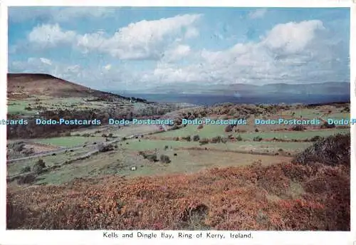 D102662 Kells und Dingle Bay. Ring of Kerry. Irland. Cardall. 1963