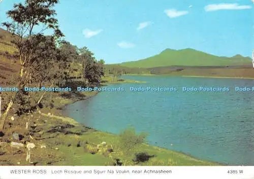 D100925 Wester Ross. Loch Rosque und Sgurr Na Voulin. in der Nähe von Achnasheen. Whiteholm