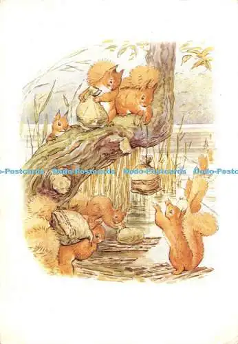 D097652 Die Geschichte vom Eichhörnchen-Nussleder. Frederick Warne. Beatrix Potter. 1979