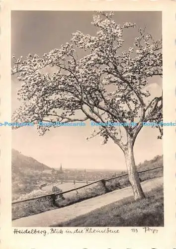 D099588 Heidelberg. Blick in die Rheinebeue. 183. Popp. Agfa