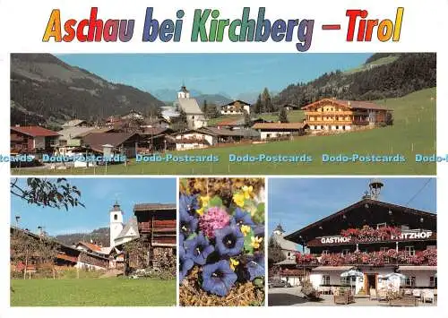 D102772 Aschau bei Kirchberg. Tirol. Alpina. KTV. Chizzali. Multi View