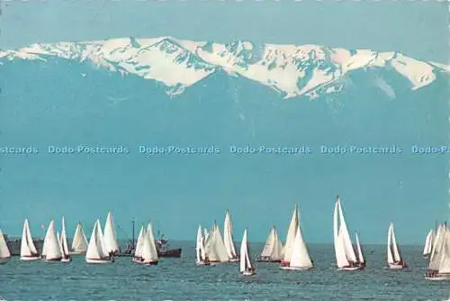 D102881 Segelboote und Olympische Berge. Victoria. B. C. W. Creighton. Stan V.W