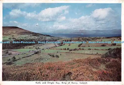 D102942 Kells und Dingle Bay. Ring of Kerry. Irland. Cardall